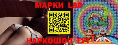 гидропоника Можга