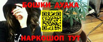 гидропоника Можга