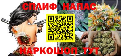 гидропоника Можга