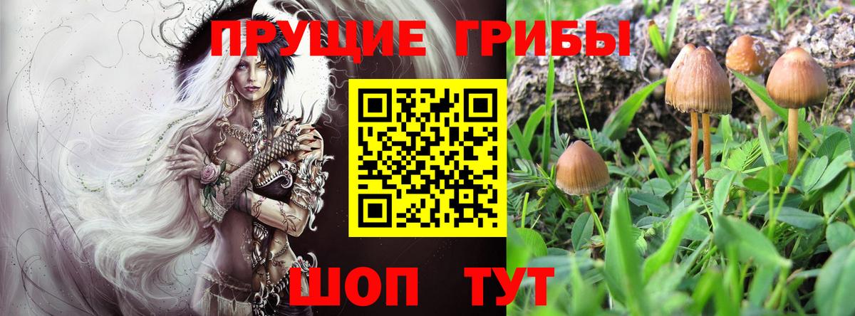 Псилоцибиновые грибы GOLDEN TEACHER  Вход с VPN  Псилоцибиновые грибы мухоморы  Чебоксары 